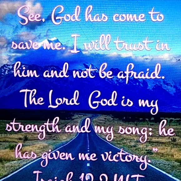 ⚜️ Borgana CAPE  The ORIGINAL FAUX FUR Vintage Shawl CHAMPAGNE  LUXURY OSFM - Picture 14 of 16